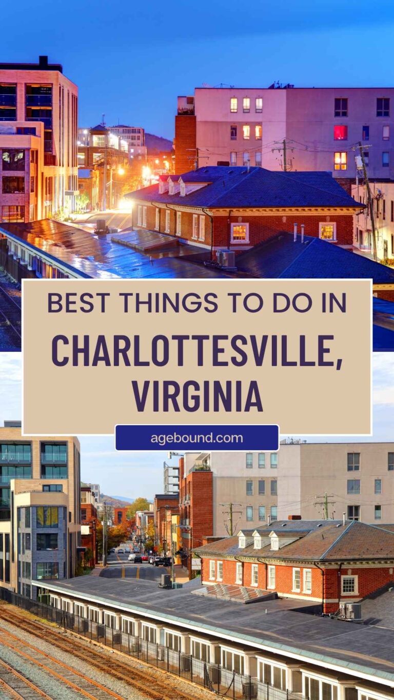 Where History Meets Vineyards: Top Things To Do in Charlottesville, VA