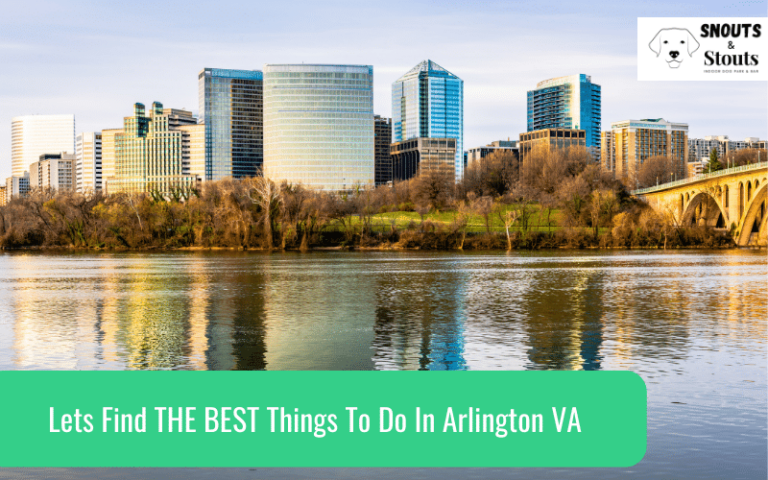 Best Things To Do in Arlington, Virginia