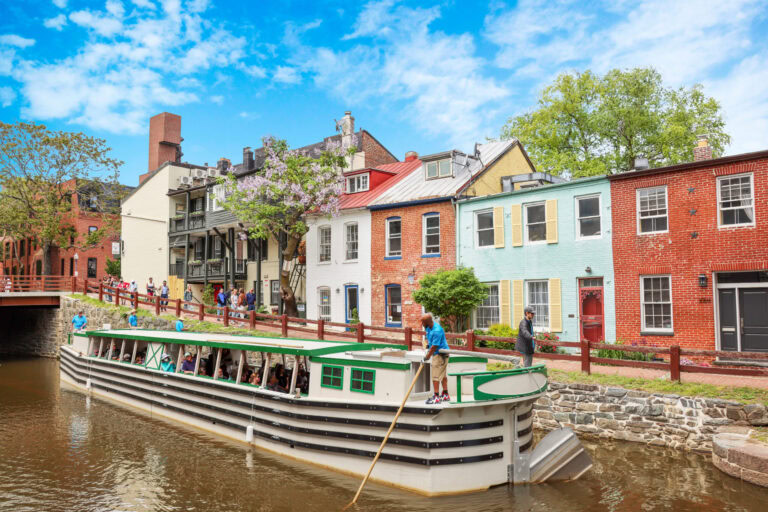 Best Things To Do in Georgetown, Delaware