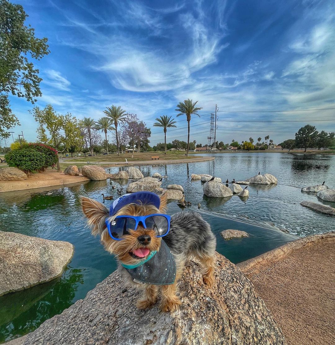 Best Things To Do in Gilbert, Arizona - Age Bound