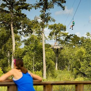 Best Things To Do in Houma, Louisiana