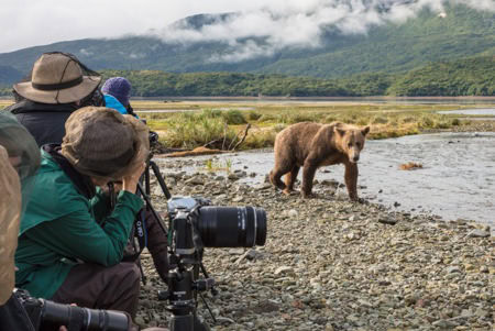 Best Things To Do in Kodiak, Alaska