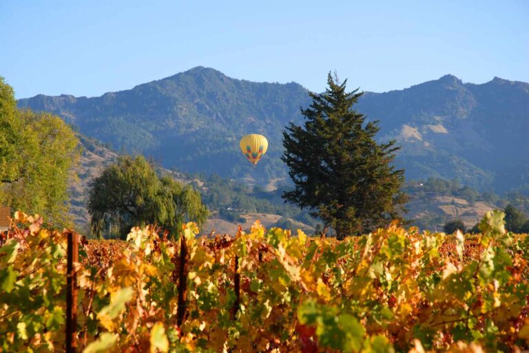 Best Things To Do in Napa Valley, California