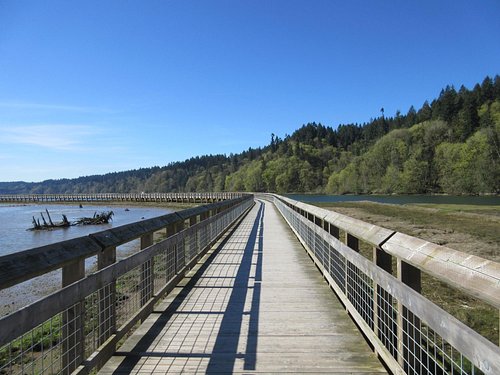 Best Things To Do in Olympia, Washington