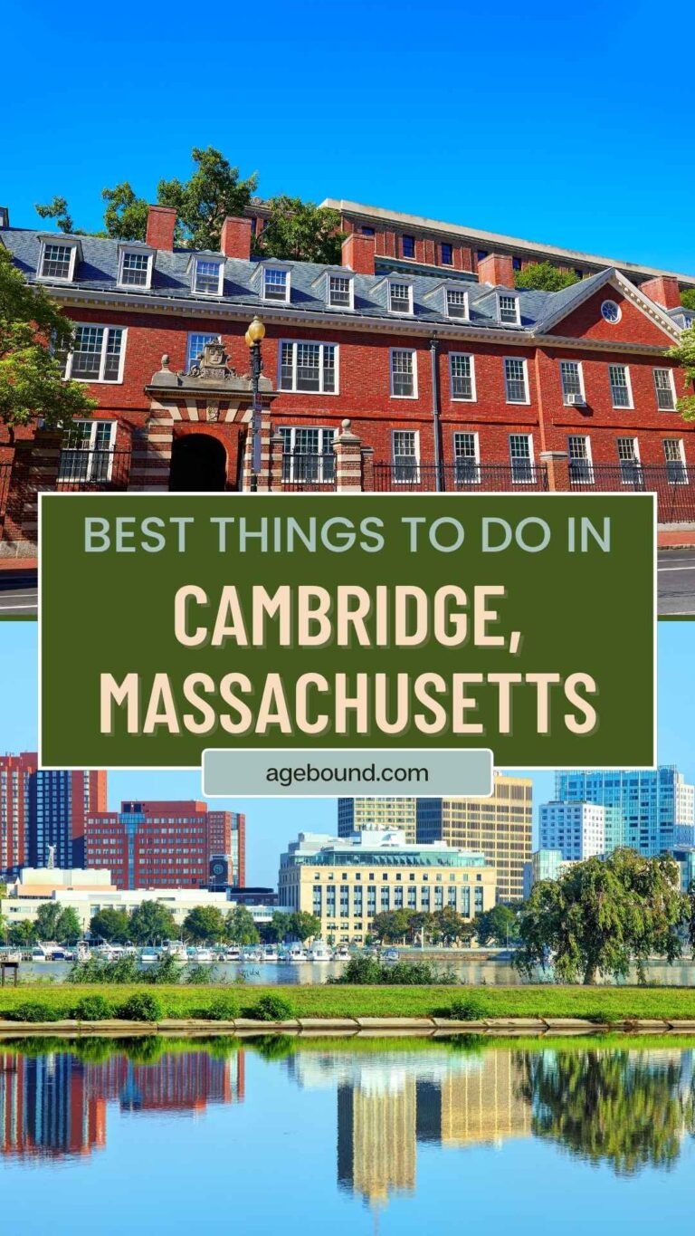 Historic Cambridge: Harvard Yard, Literary Landmarks & Riverside