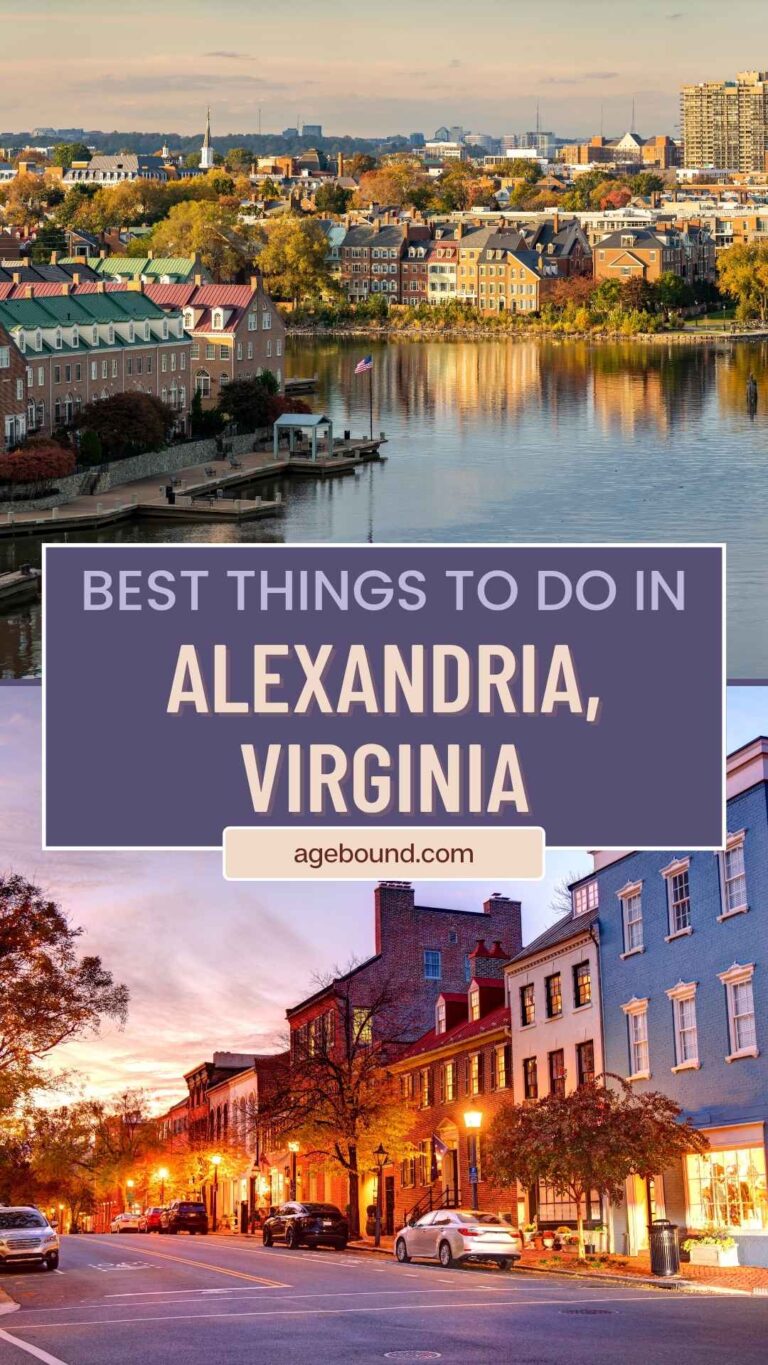 Discover Alexandria: Waterfront Tales, Old Town & Hidden History