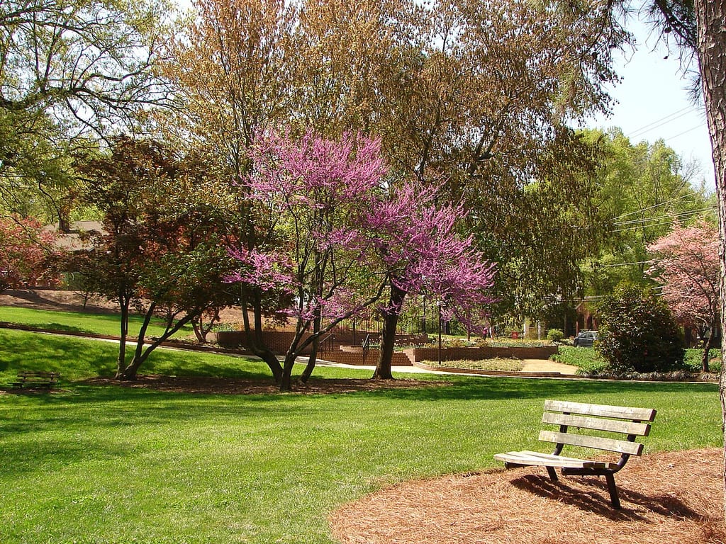 Glencairn Gardens Rock Hill SC.jpg